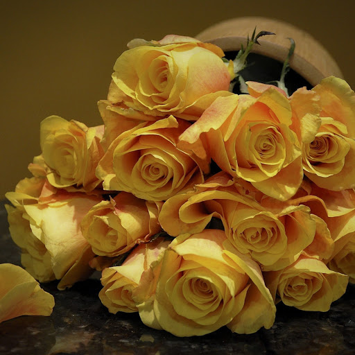 Hd-162254-ascw162254