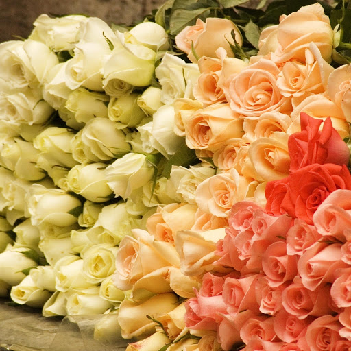 Hd-149236-ascw149236