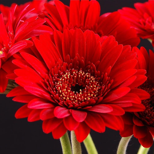 Hd-163137-ascw163137