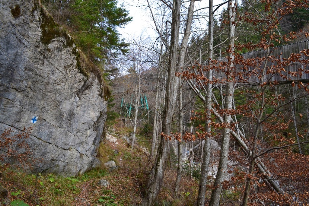 [DSC_05373.jpg]
