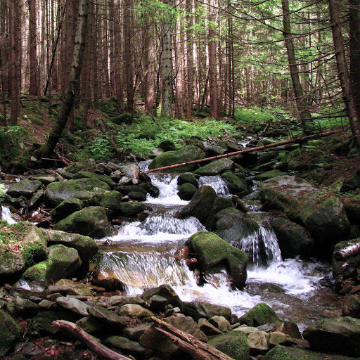 Hd-174681-ascw174681