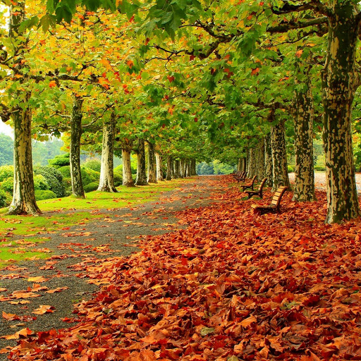 Hd-173524-ascw173524