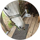 David Kulps profile picture