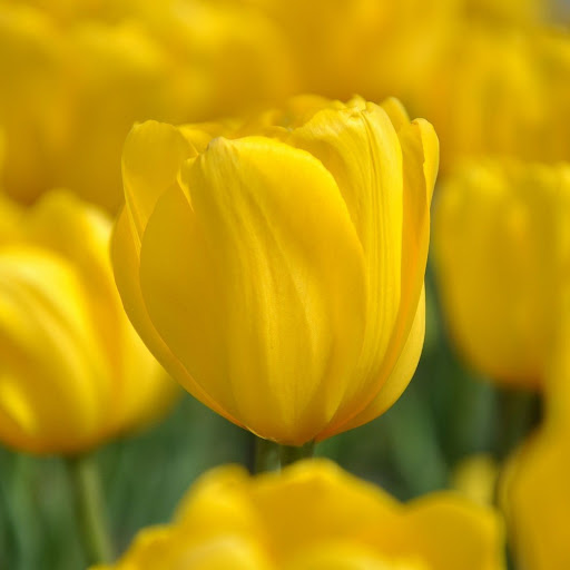 Hd-134492-ascw134492