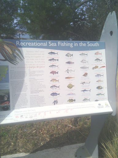 Sea Fishing in the South Info Board