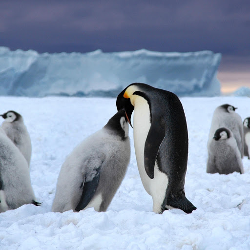 Hd-133570-ascw133570