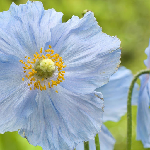 Hd-146535-ascw146535