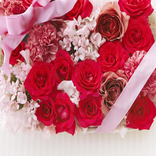 Hd-168873-ascw168873