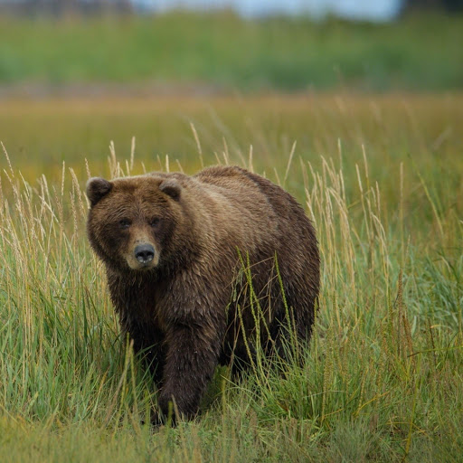 Hd-166388-ascw166388