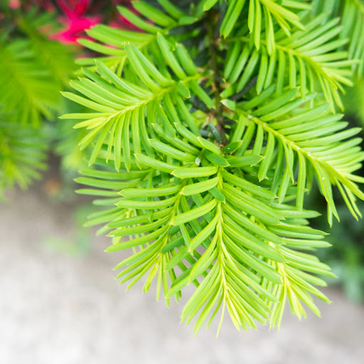 Hd-164104-ascw164104