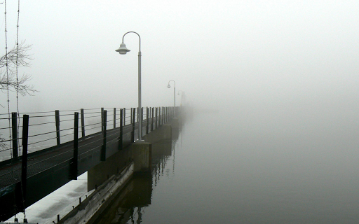 Mist Around Bridge