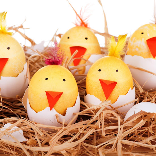 Hd-165222-ascw165222