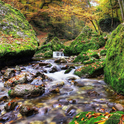 Hd-150404-ascw150404