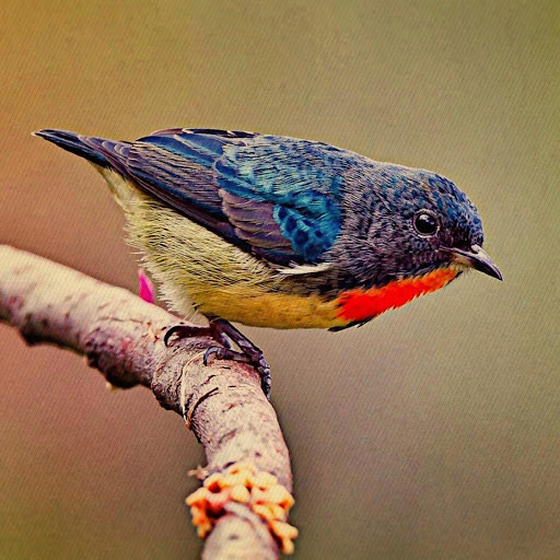 Hd-180590-ascw180590