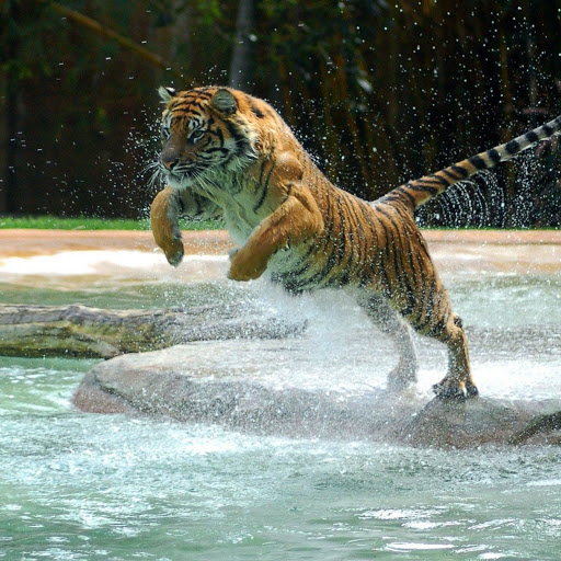 Hd-155435-ascw155435