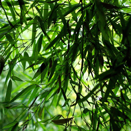 Hd-150643-ascw150643