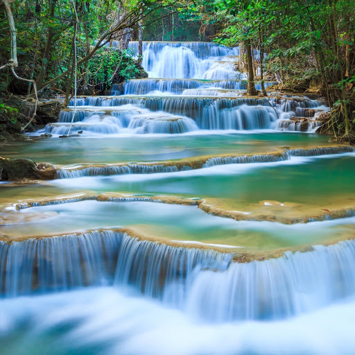 Hd-170274-ascw170274