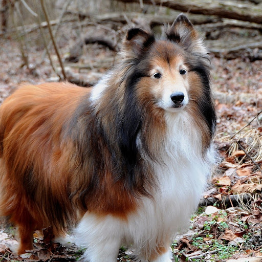 Hd-180668-ascw180668