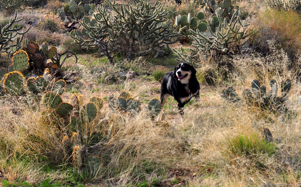 [DSC_0023%255B4%255D.jpg]