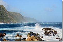 Wild coastal scenery at the start of the Garden Route. Our tents are just metres from the waves.