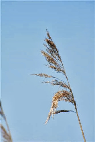 20090701 (Small) 20090701 (Small)