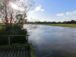 Skjern Au _ Oktober 2012 - 072