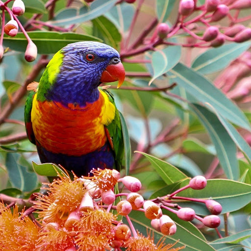 Hd-178627-ascw178627