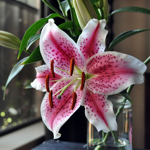 Hd-166769-ascw166769