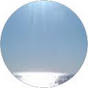 Edith de Meij profielfoto