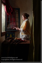 Blog2014__20130308_Vermeer-TheLetterReader