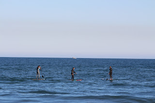 IMG_4246.JPG