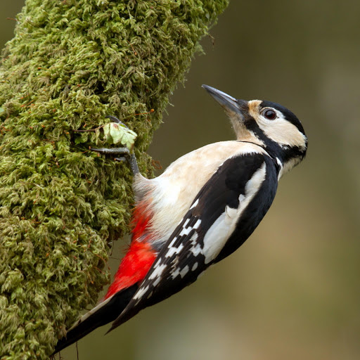 Hd-178656-ascw178656