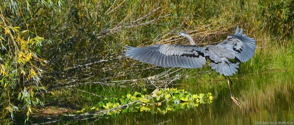 [DSC_0011-005%255B4%255D.jpg]