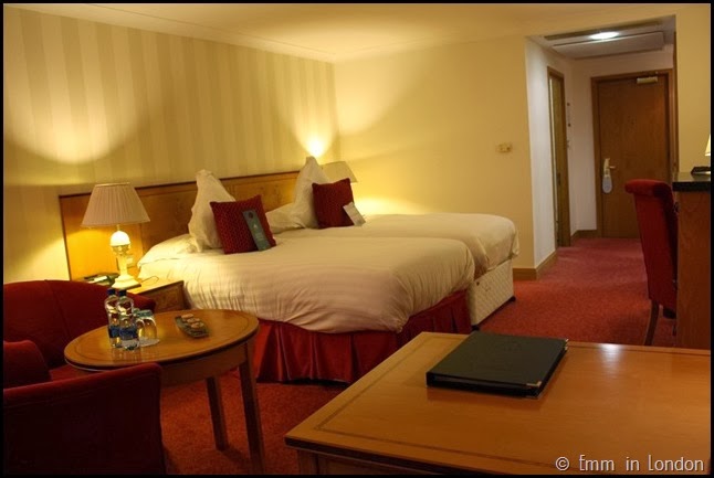Comfortable Europa Hotel Belfast
