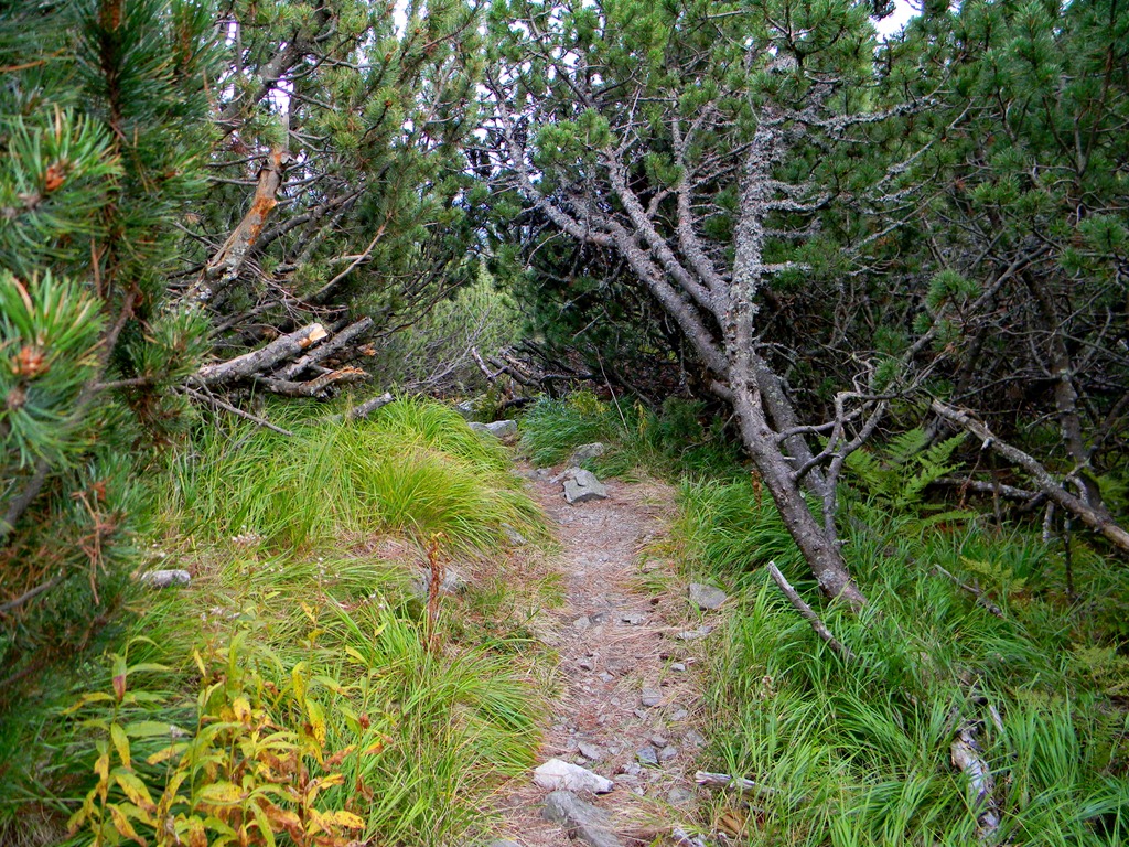 [DSCN65023.jpg]