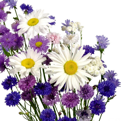 Hd-149256-ascw149256