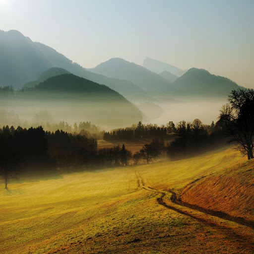 Hd-132121-ascw132121