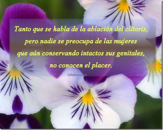 placer 1 placer 1