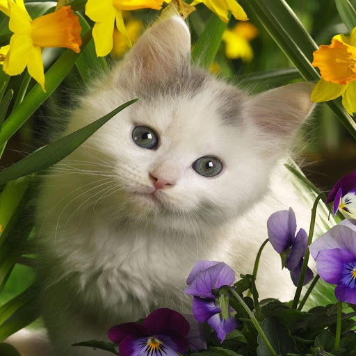 Hd-144722-ascw144722