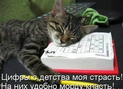 [771e443bc342cbaee8ea442c3d8_prev%255B3%255D.jpg]