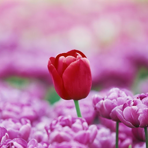 Hd-177221-ascw177221