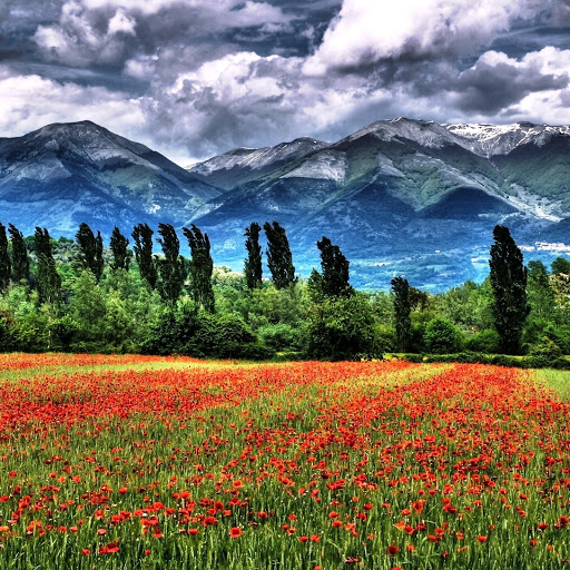 Hd-152201-ascw152201