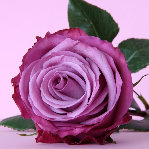 Hd-177089-ascw177089