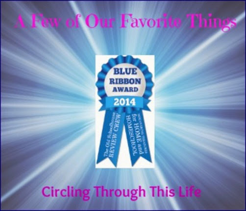 A Few Favorite Review Crew Products from 2014 ~ Circling Through This Life
