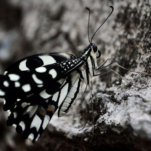 Hd-143838-ascw143838