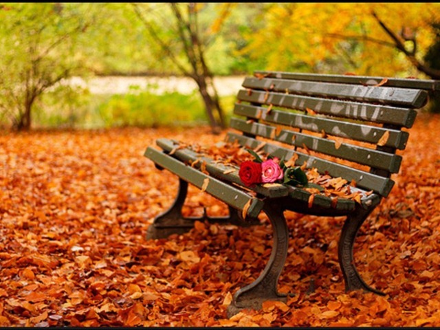 [Romantic-autumn-daydreaming-18932448-1024-768%255B5%255D.jpg]