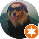 D Carrillo profile picture