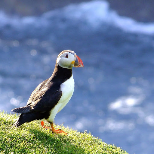 Hd-155154-ascw155154