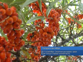 Погода в сентябре Погода в сентябре