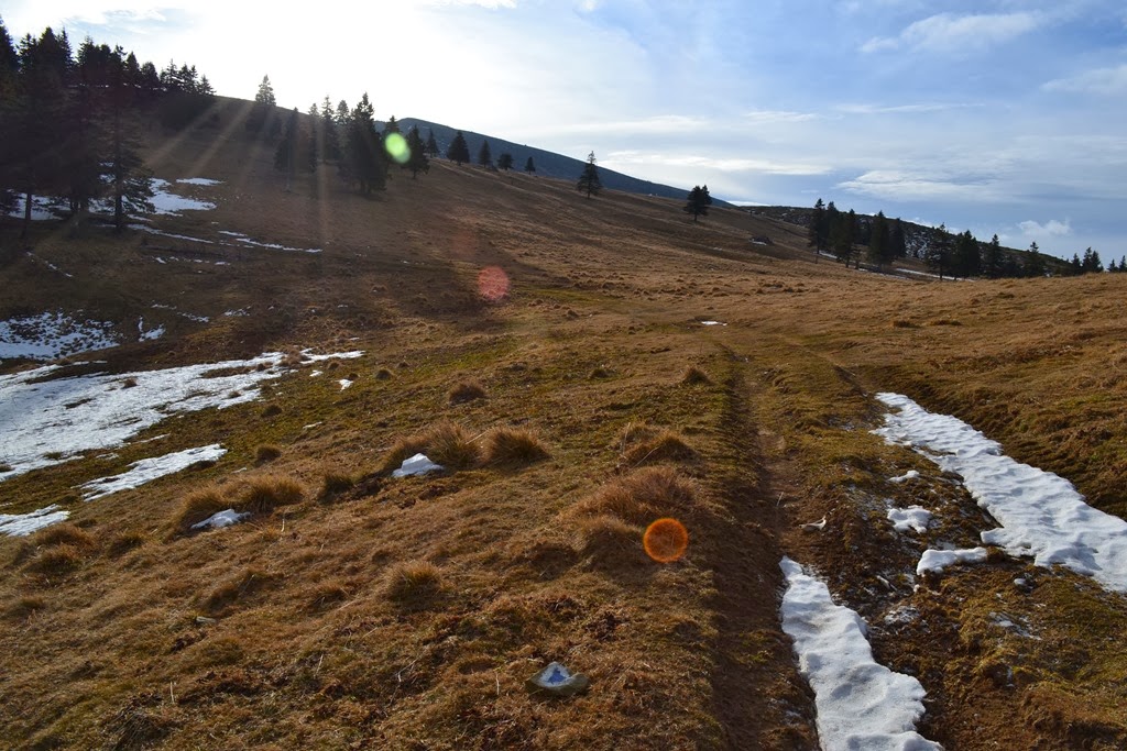 [DSC_03813.jpg]